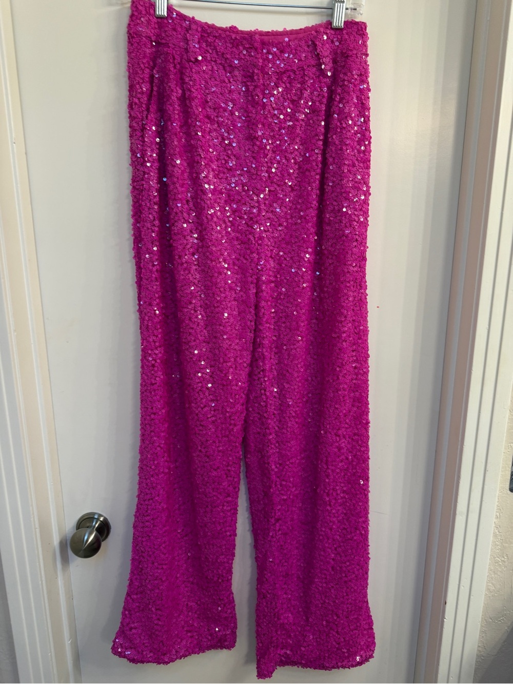 Nasty Gal Fuchsia Sequin Dress Pants. 6